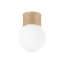 Ardsley 1 Light Flush Mount