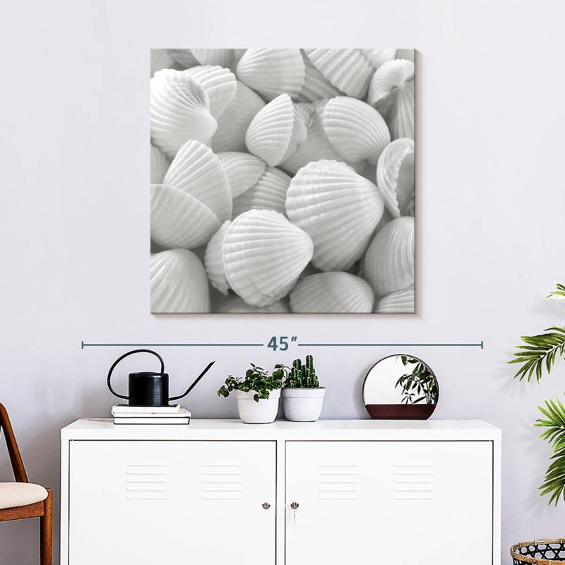 Aletra White Shells, 30" H x 30" W