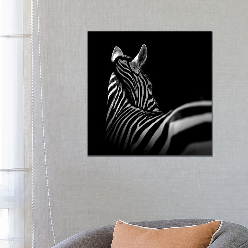 Zebra In Black And White I by Lukas Holas - Wrapped Canvas Print, 66.04 cm H x 66.04 cm W