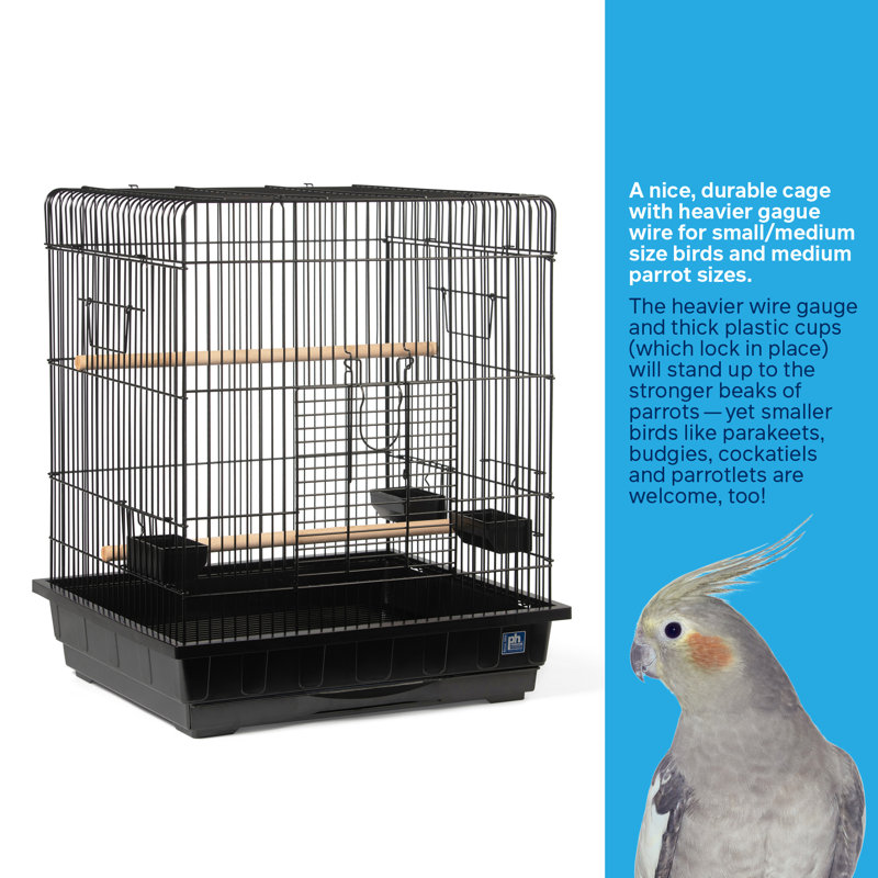 Black Square Roof Parrot Cage with Perches and Dishes