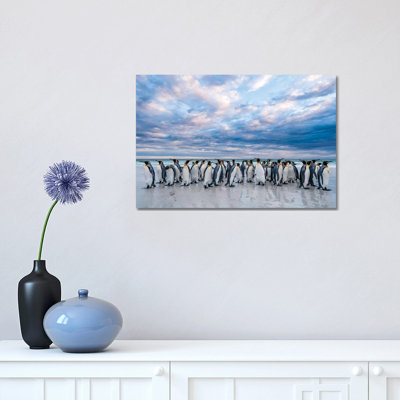 King Penguins On The Beach, Volunteer Beach, East Falkland Island, Falkland Islands II by Tui De Roy - Wrapped Canvas Print