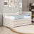 Upholstered Daybed with Trundle and Drawers-60993263-60993261