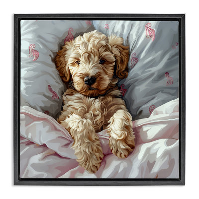 Nap Time Cuddling Labradoodle Canvas Wall Art by Jim Baldwin