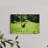 Kangaroos on Meadow-566252477