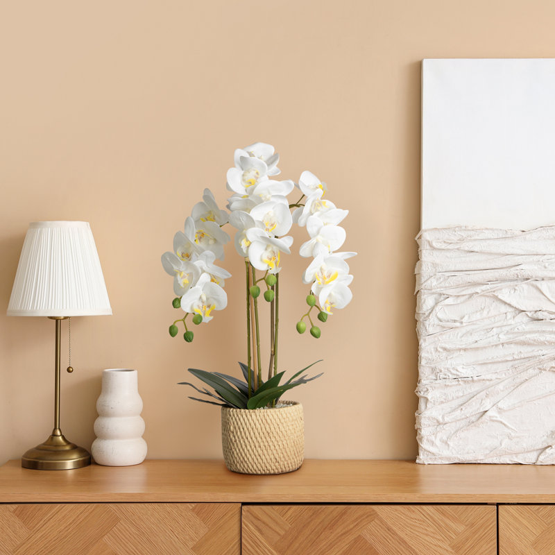 Arrangement de fausse soie orchidée en pot