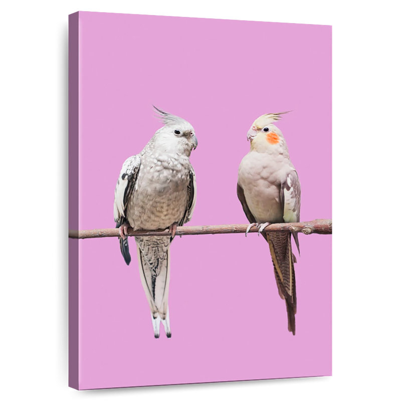 Jolie paire de cockatiel, H 30 po x l 20 po