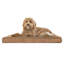 Coussin orthopédique Snuggle NAP Deluxe-1577706406-1577706407