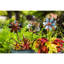 Mini ensemble de rotateurs Sauer Naturals