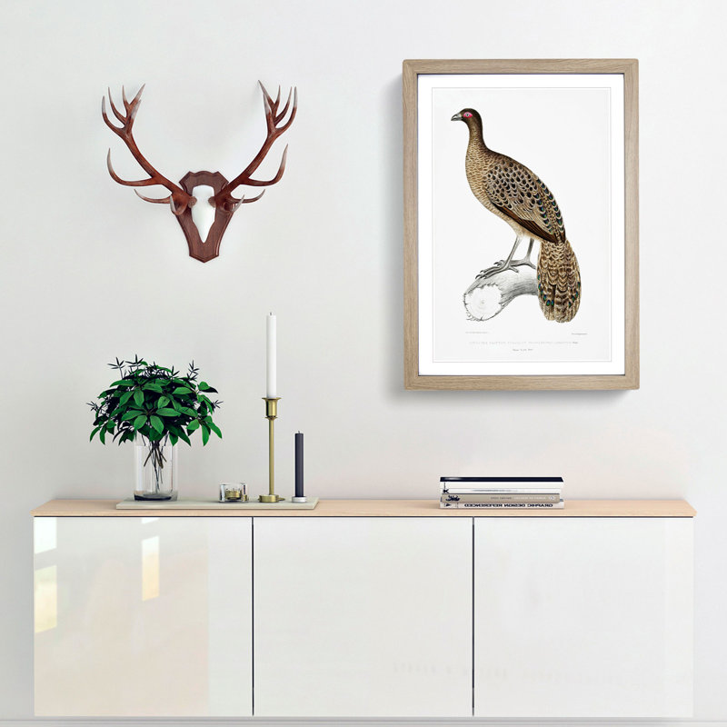 Lineated Peacock Pheasant Illustration by John Edward Gray - Picture Frame Painting Print, Oak Framed