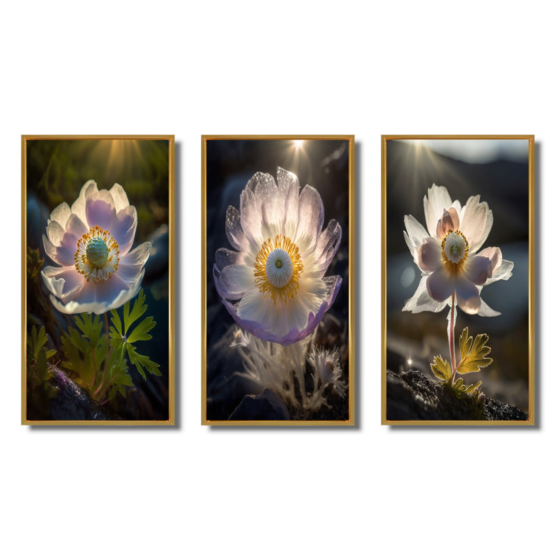 «Delicate Blooming Anemone In Morning Sunshine», 3 pièces sur toile, Cadre flottant doré, H 32 po x l 48 po
