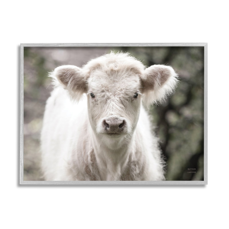 «Stupell Industries White Cow Calf», art mural sur toile par Nathan Larson, H 11 po x l 14 po x P 1,5 po