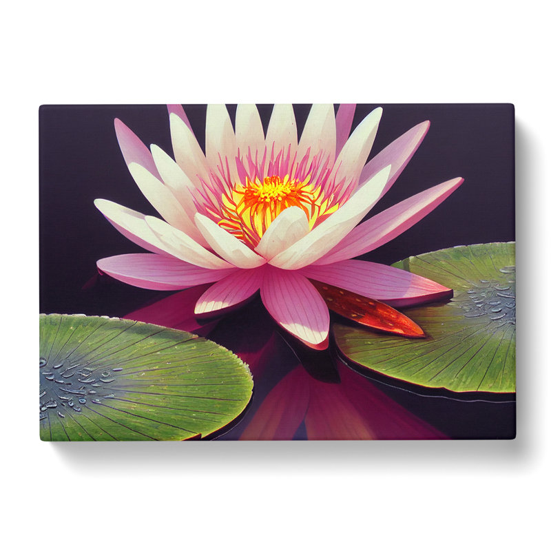 Charming Water Lily Flower - Wrapped Canvas, 50cm H x 76cm W x 3cm D