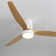 Kemp 52'' 3 -Blade LED Flush Mount Ceiling Fan with Remote Control and Light Kit Included
