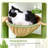 Cactus Cat Tree Tower - Sturdy Cat Condo With Scratching Posts, Hammock, And Anti-Tip Kit For Small Spaces And Large Cats