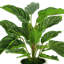 Nature's Elegance Faux Foliage Plant in Ceramic Pot