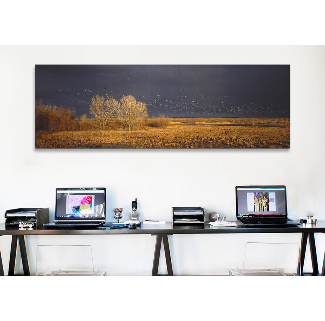 Flock of Snow Geese Flying at Bosque del Apache National Wildlife Reserve, New Mexico - Photographic Print on Canvas East Urban Home