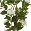 Plante artificielle traditionnelle en pot