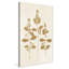 Botanical Study IV Gold Crop - Peinture-864422674-864422889