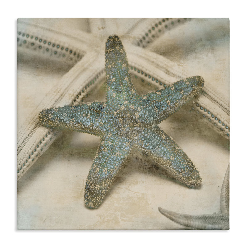 'Starfish' by Ziwei Li - Photograph Print, 17" H x 17" W, Coastal White Framed Giclee