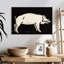 Corbeau cochon 1923-111880804