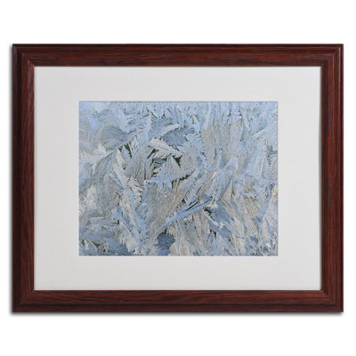 «Frost Pattern # 6» par Cooperstown, reproduction de photo sur toile encadrée