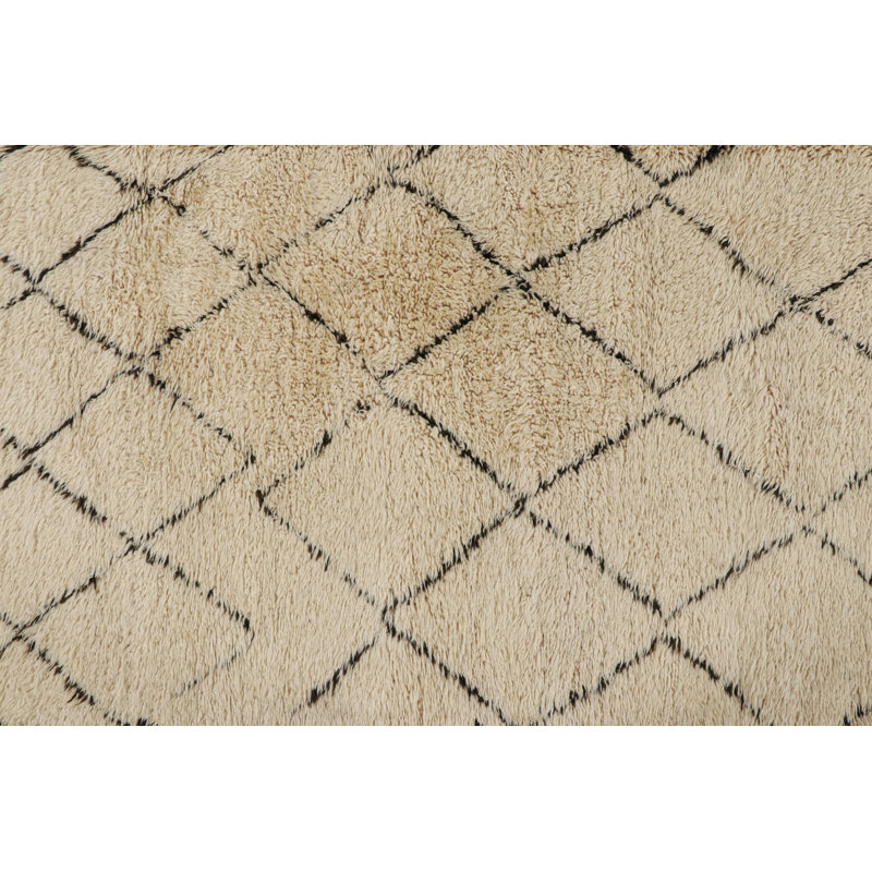 One-of-a-Kind 6'7”x14' Hand Knotted Area Rug