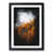 Black Framed