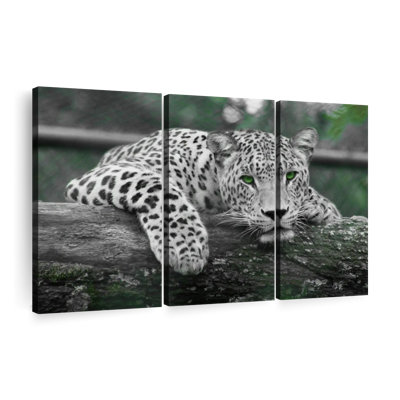 «Green Eyed Jaguar», 3 pièces