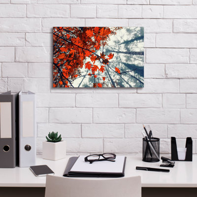 'Red Autumn Leaves' by Igor Vitomirov Canvas Wall Art, 40" x 26"