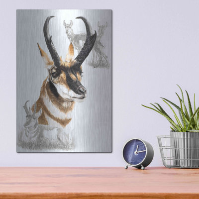 "Pronghorn" par Barbara Keith