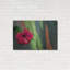 «Hibiscus» par Dennis Frates-154602959