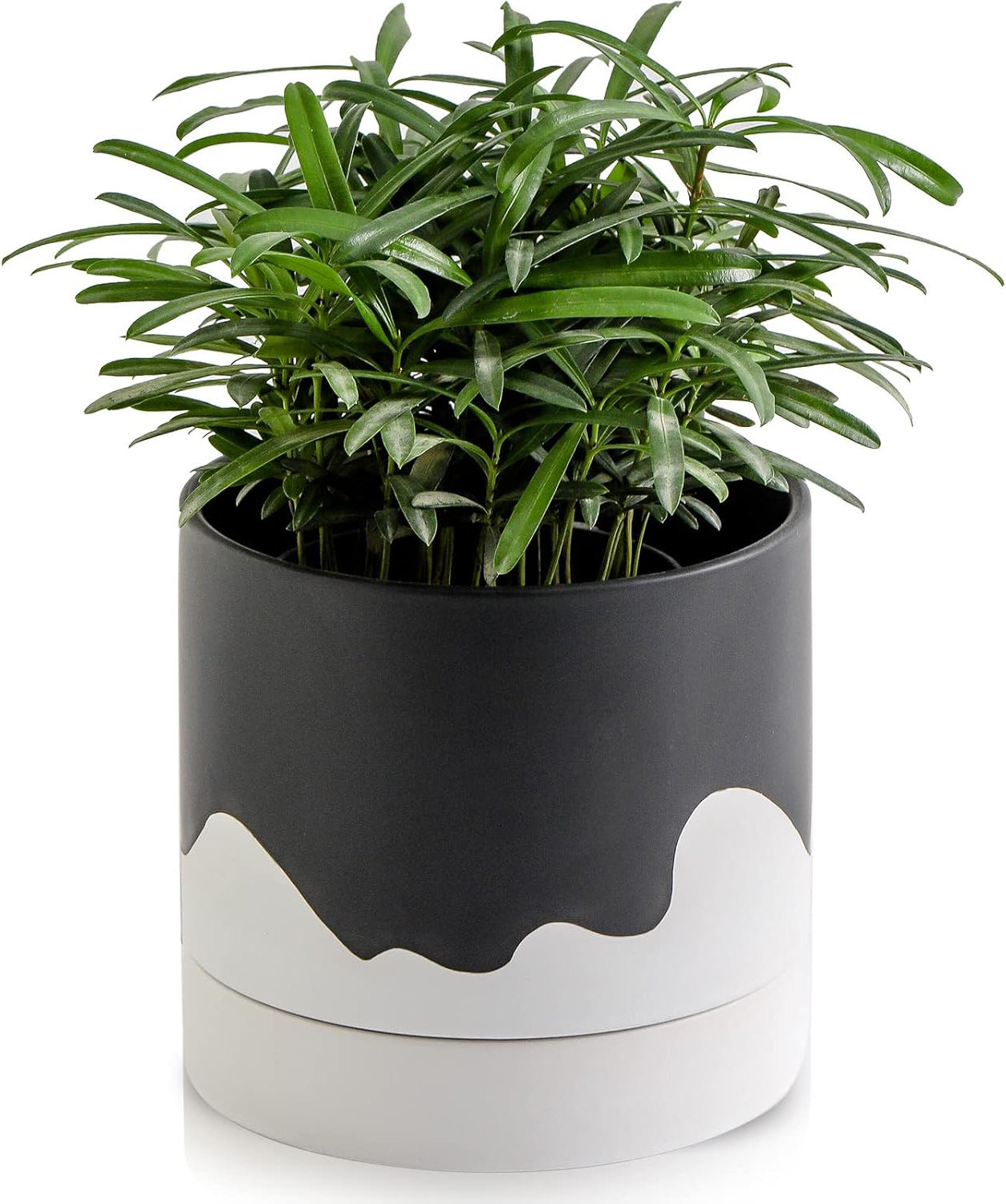 Wrought Studio Ceramic POTS 6-inch POTS are used for indoor and outdoor ...