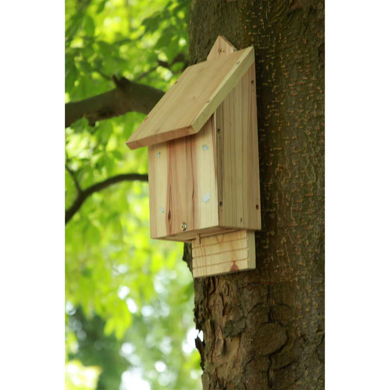 Rosimund Mounted Bat House