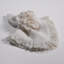 Serviettes de table Whisper-1826648970