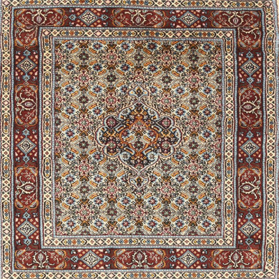 Oriental Indoor Rug