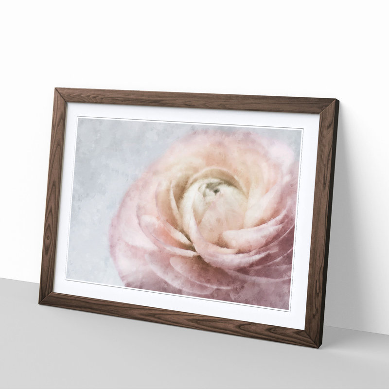 Pink Ranunculus Flower - Picture Frame Graphic Art Print, 62cm H x 87cm W x 2cm D, Walnut