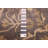 Jules Serapi Grey Rug 9'1" x 11'11"