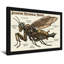 Impression de motif mante mécanique Steampunk-467349166-467349153-467349165