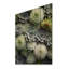 «Green Succulents Flowers Serene Succulents II», reproduction sur bois-1429993483