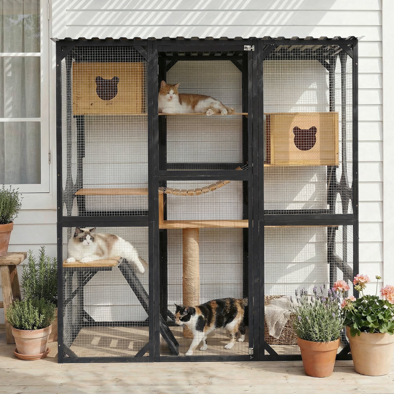 Spacious Fir Wood Catio With Multi-Level Play And Secure Access