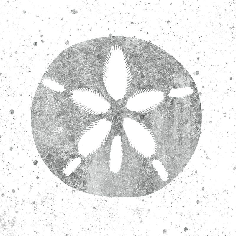 Silver Sea Life Sand Dollar by Wild Apple Portfolio - Wrapped Canvas Painting, 91cm H x 91cm W x 3.8cm D