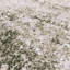 Delanor Abstract Ivory/Green/Silver Area Rug-2057875668