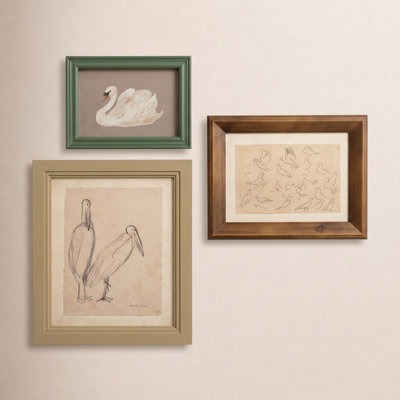 Ensemble de trois oiseaux encadrés sous verre