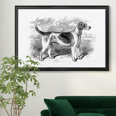" Foxhound "