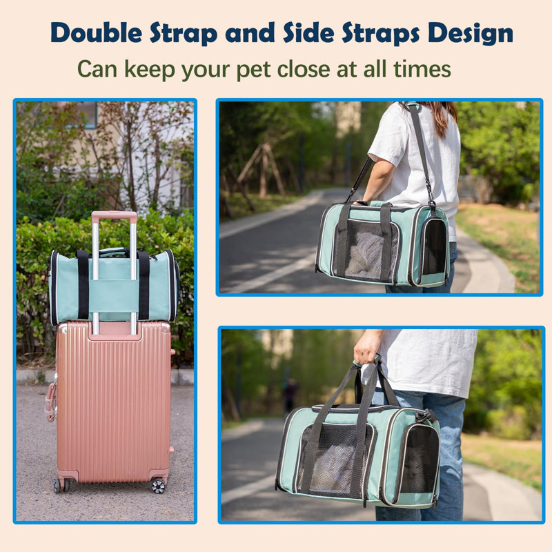 Green Airline Approved Foldable Pet Travel Carrier