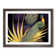 Captivating Peacock - Single Picture Frame Print
