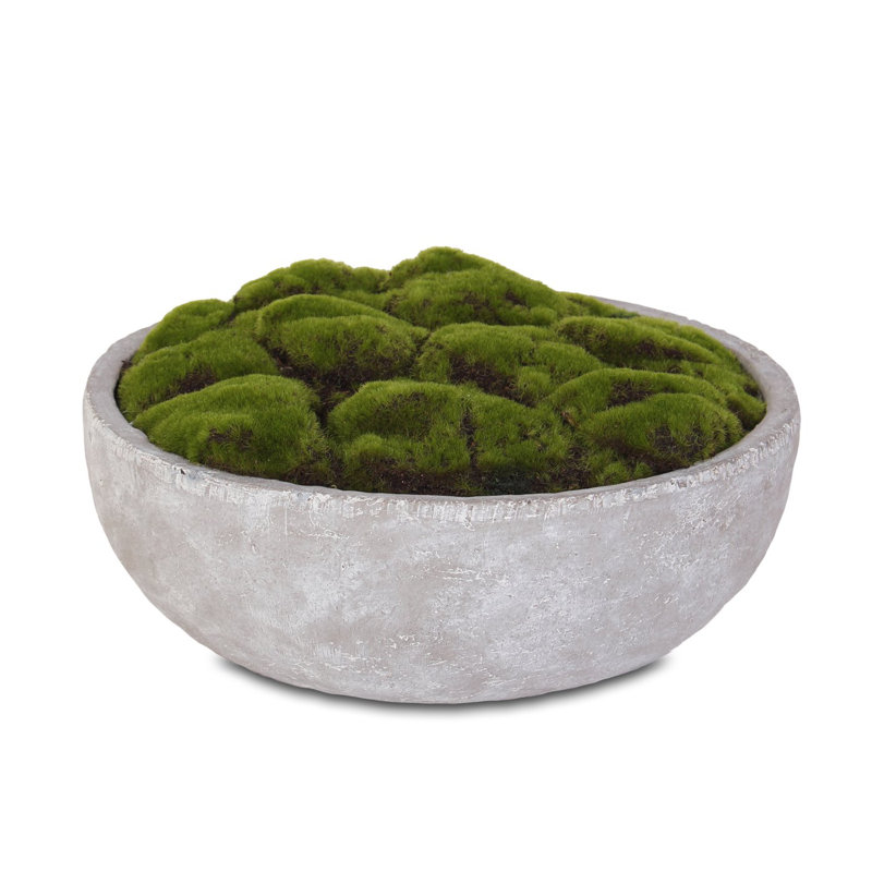 7'' Faux Succulent in Stone Pot