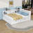 Queen Size Wood Daybed with LED Lighting and Built-In Storage, USB Charging Ports-460018621