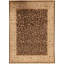 Oriental Area Rug