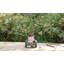 Welcome Sign Gnome Crawling over Tree Trunk Statue
